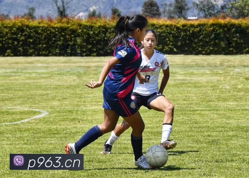 华体app官网登录入口APP 体育赛事宣传图